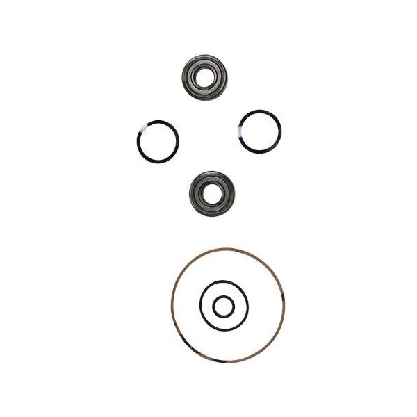 Pump Repair Kits- Kit, Ball Bearing 6204.SYN/6204.SYN, Spare Part.